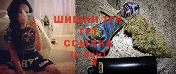 PSILOCYBIN Алзамай