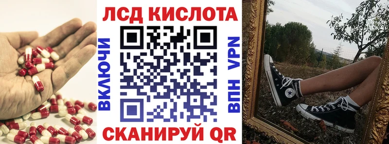 дарнет шоп  Брянск  ЛСД экстази кислота 