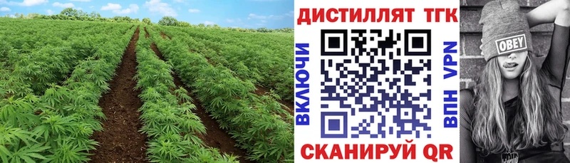 ТГК Wax  цены   Брянск 