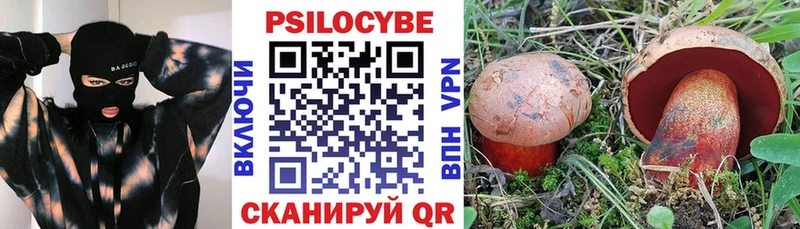 Галлюциногенные грибы Psilocybine cubensis Брянск